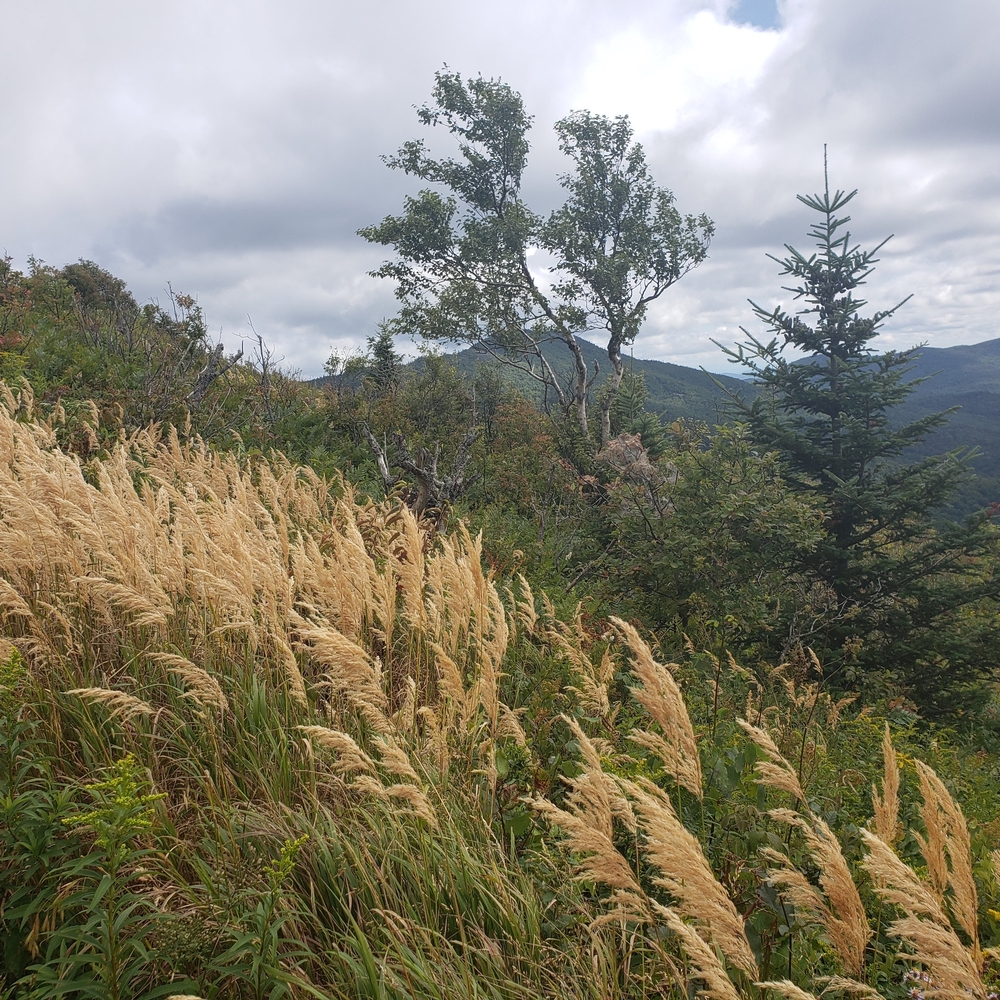 This appears to be a nature/landscape photo rather than a product listing